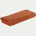 Lot de 2 serviettes invité en coton - marron rustrel 30x50cm-Ynes
