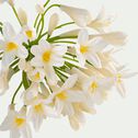 Fleur artificielle d'agapanthe - blanc H75cm-AGAPANTHE