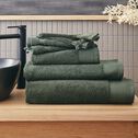 Serviette de toilette en coton peigné - vert cèdre 50x100cm-AZUR