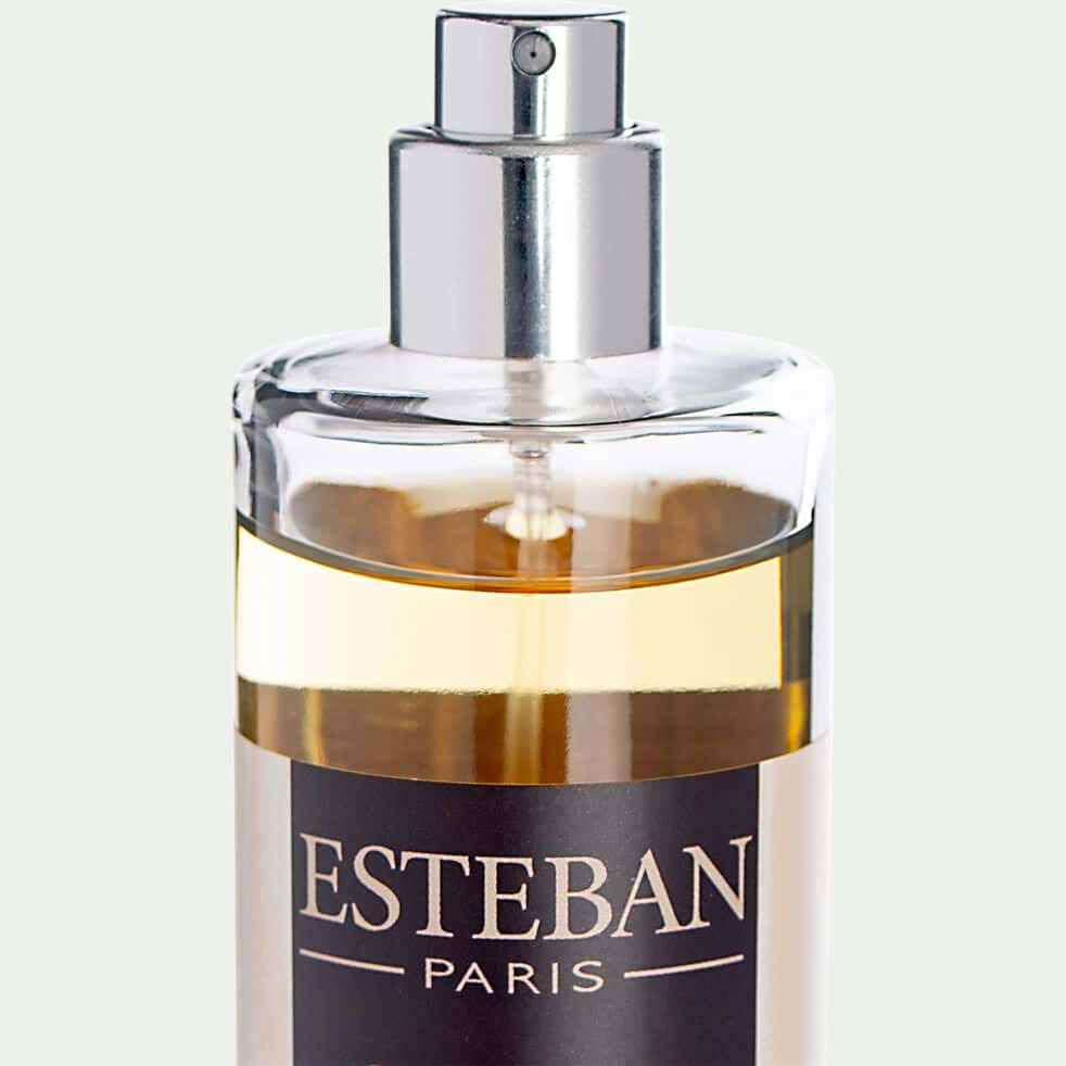 Vaporisateur de parfum d’ambiance CEDRE (Esteban)