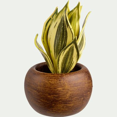 Succulente artificielle en pot - vert H14cm-SUCCULENTE