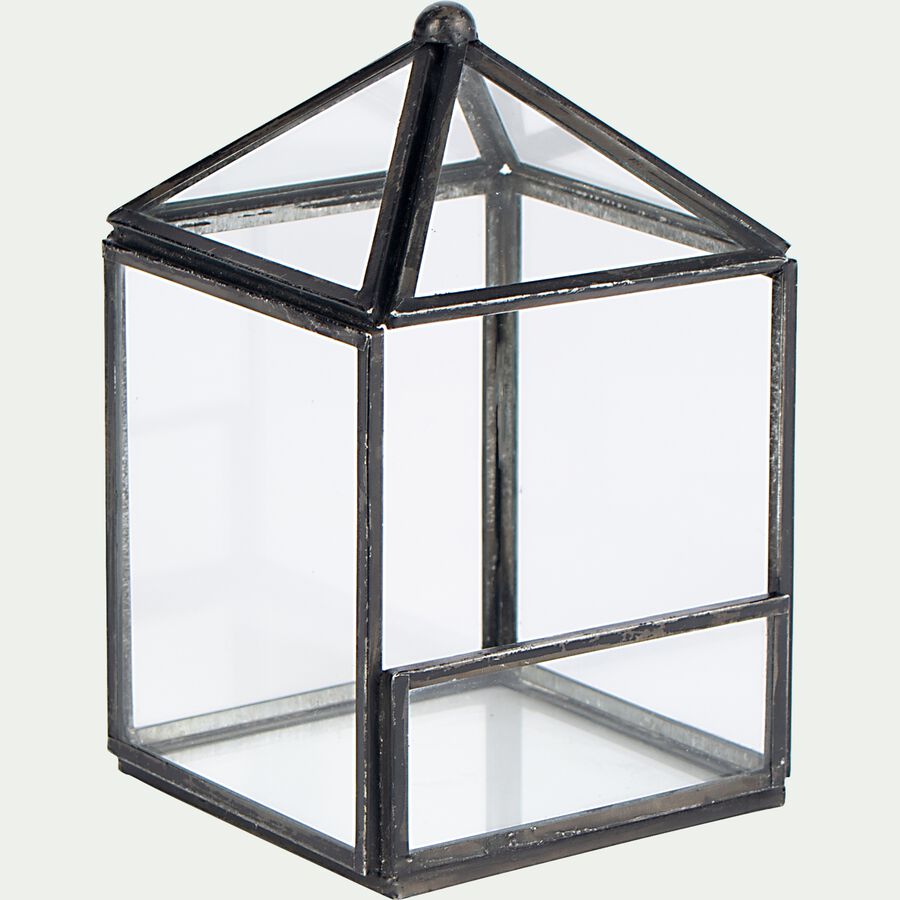 Terrarium en verre et fer - transparent  L9xl9xH14cm-SUCLE