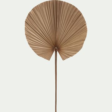Feuille de palmier séchée décorative - naturel H110cm-AITBAHA