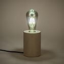 Ampoule déco LED à filament poire - teintée grise 14,50cm-POIRE