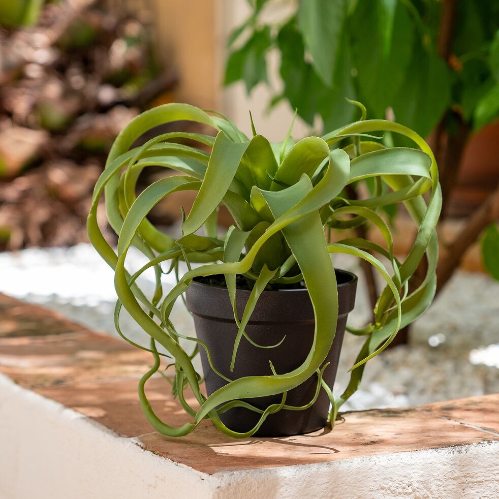 Plante artificielle - Composition palmier - Pot rond blanc