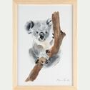 Image aquarelle encadrée Koala - A4-KOALA