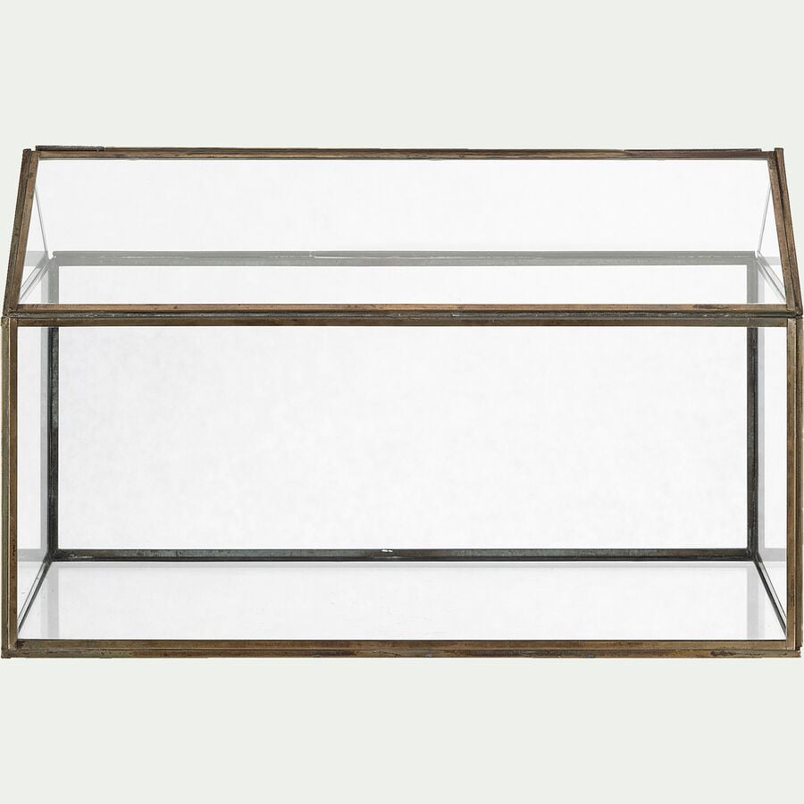 Terrarium en verre L35,5xl15xH23cm - transparent-EDEN
