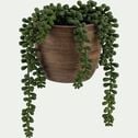 Succulente artificielle en pot - vert H15cm-AIZOAC