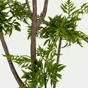 Plante artificielle fougère en pot - vert H134cm-ATENO