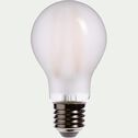 2 ampoules LED verre dépoli blanc chaud D6cm E27-CLASSIQUE