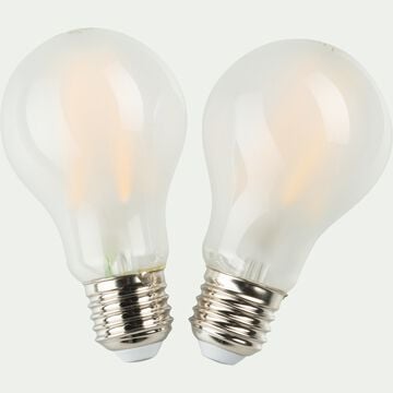 Lot de 2 ampoules LED standard lumière chaude - E27 8W D6cm blanc-STANDARD