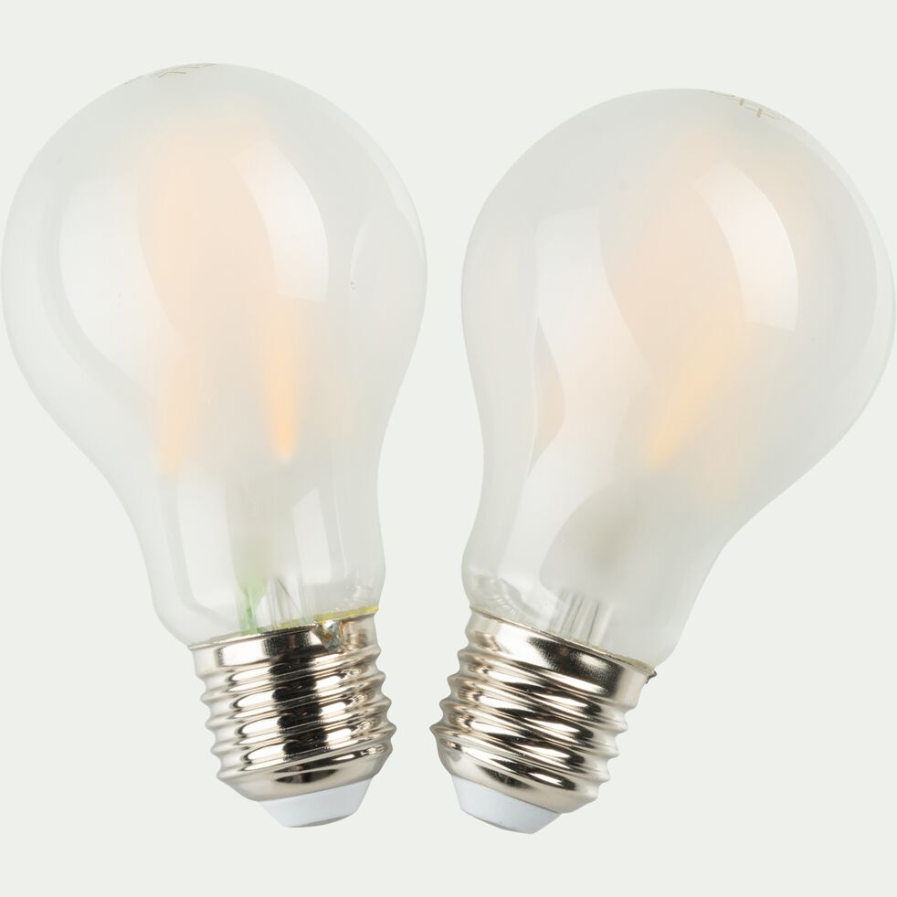 Lot de 2 ampoules LED standard lumière chaude - E27 10W D6cm blanc-STANDARD