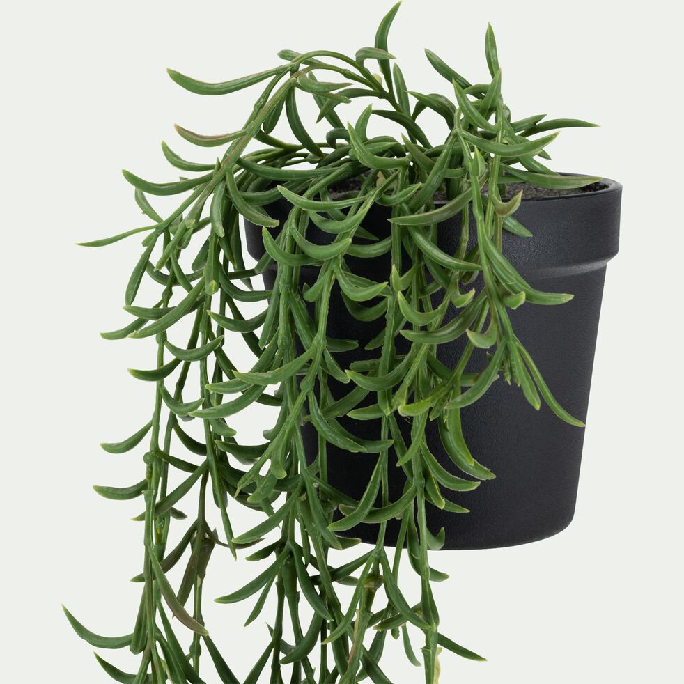 Plante artificielle tillandsia H22cm - PRADET - alinea
