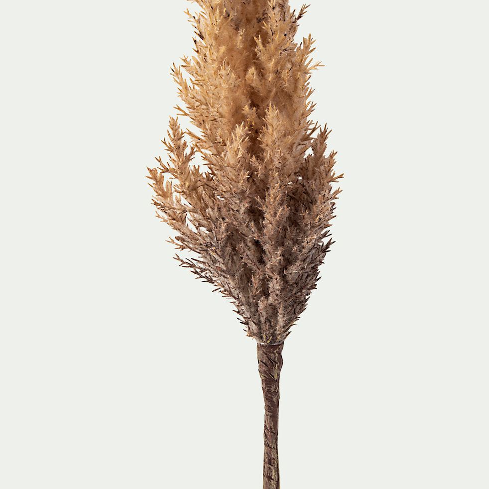 Herbe de pampa décorative H88cm - naturel-PAMPA