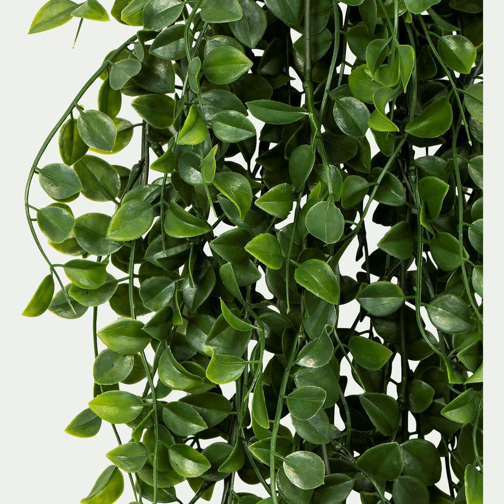 Plante crassula artificielle à suspendre - vert L79cm-ASSULA
