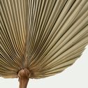 Feuille de palmier séchée décorative - naturel H100cm-PASSI