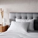 Lot de 2 oreillers moelleux en coton bio - blanc 45x70cm-KALEA