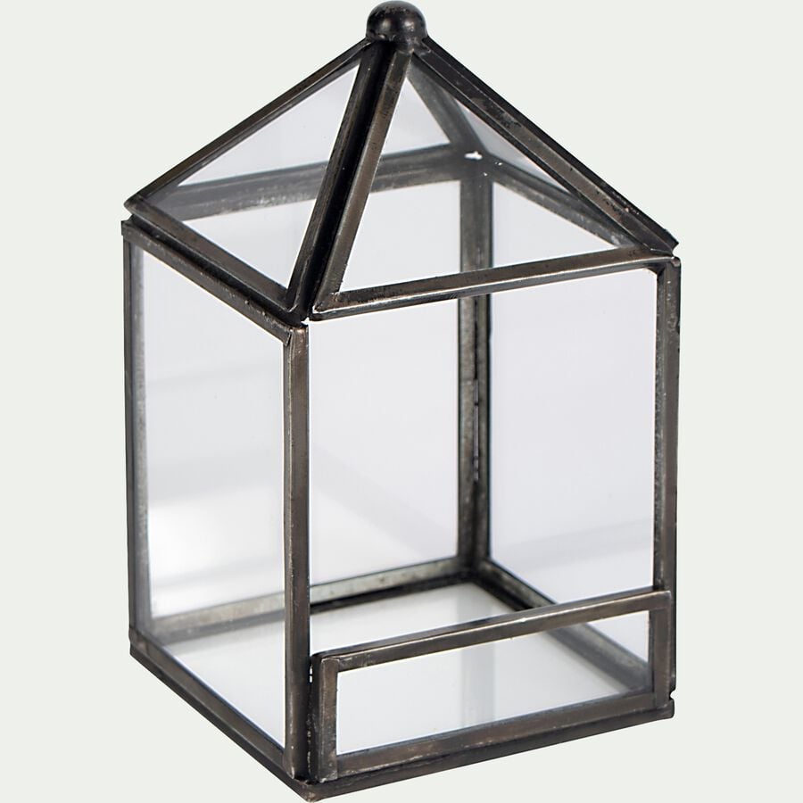 Terrarium en verre L8xl8xH13cm - transparent-SUCLE