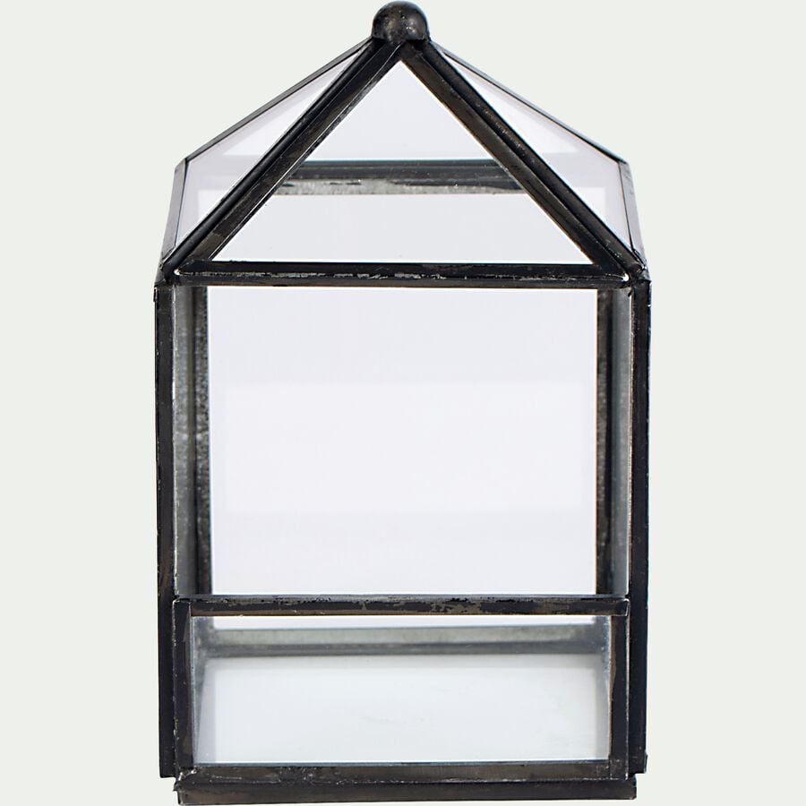 Terrarium en verre et fer - transparent  L9xl9xH14cm-SUCLE