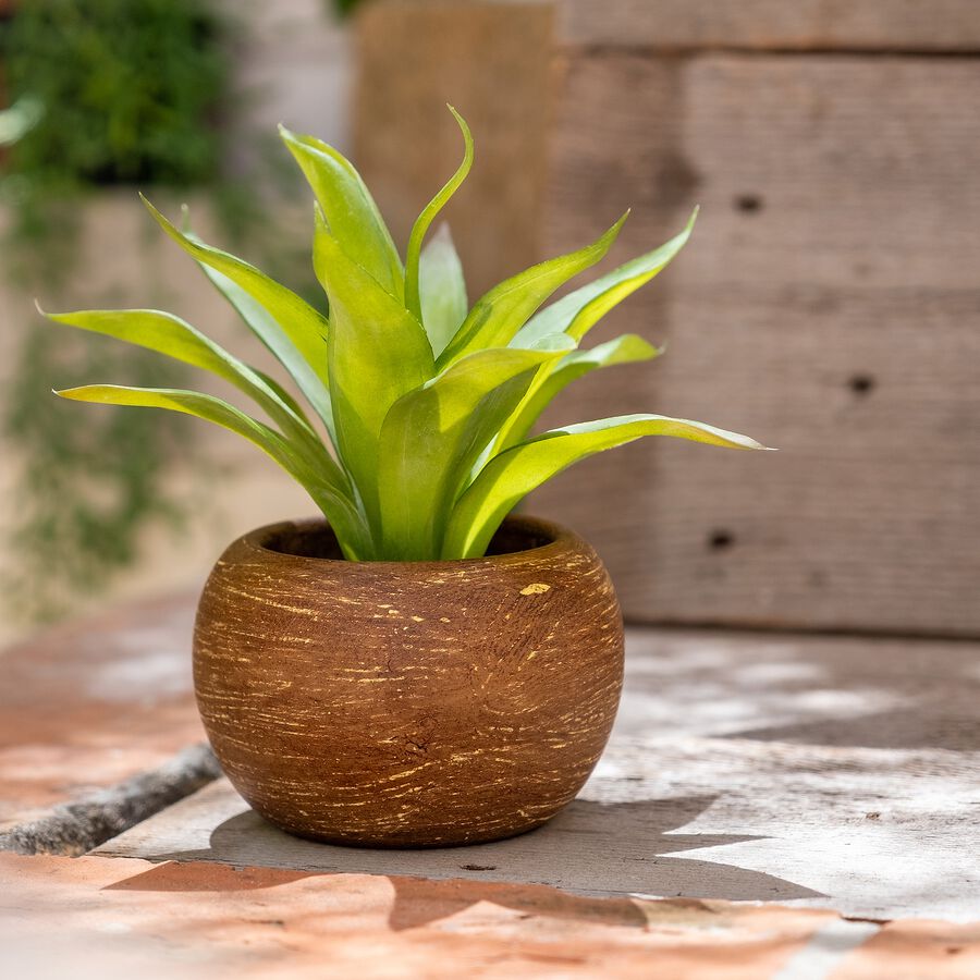 Trouver une fausse plante idéale pour décorer votre intérieur ou