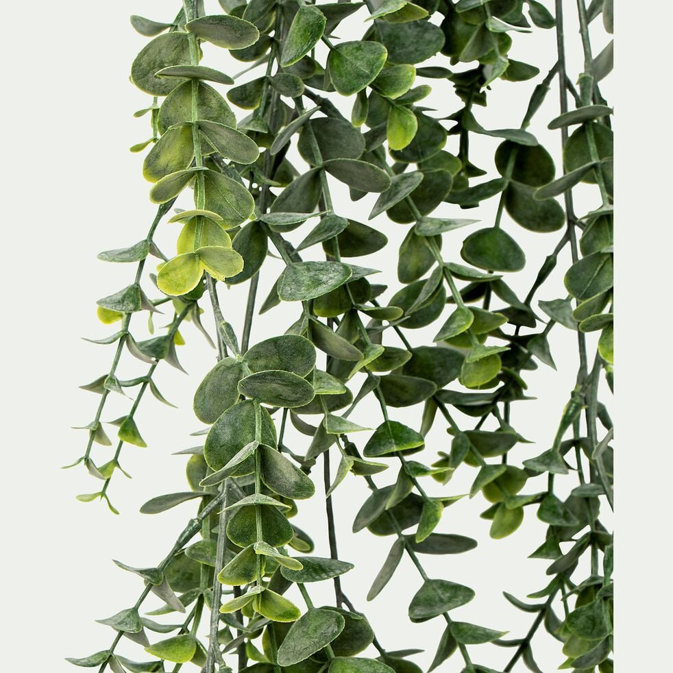 Plante eucalyptus artificielle tombante à suspendre - ver