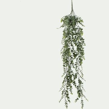 Plante eucalyptus artificielle tombante à suspendre - vert L78cm-VALYPTUS