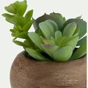 Succulente artificielle en pot - vert H10,5cm-ASSULA