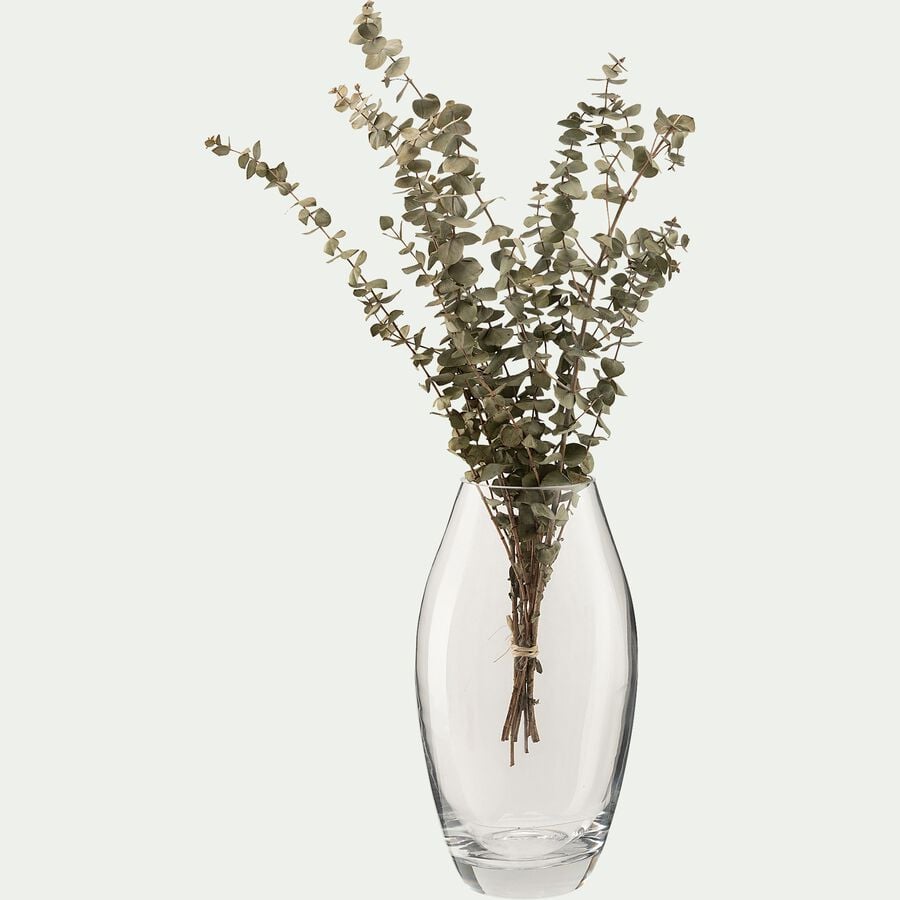 Vase conique en verre - transparent H27cm-PHORMIUM