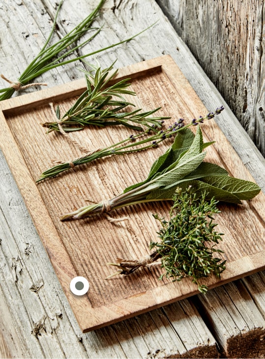 alinea jardin