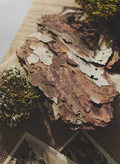 alinea x Maison Baluchon