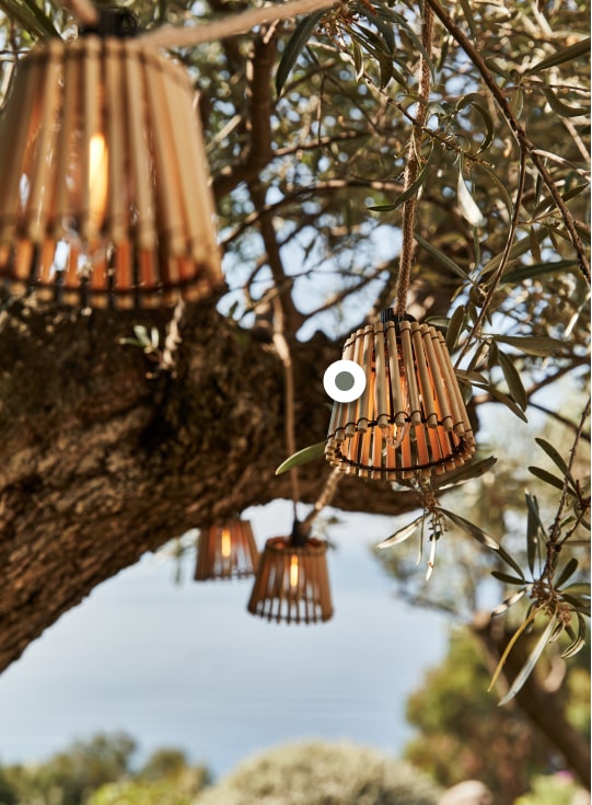 alinea jardin