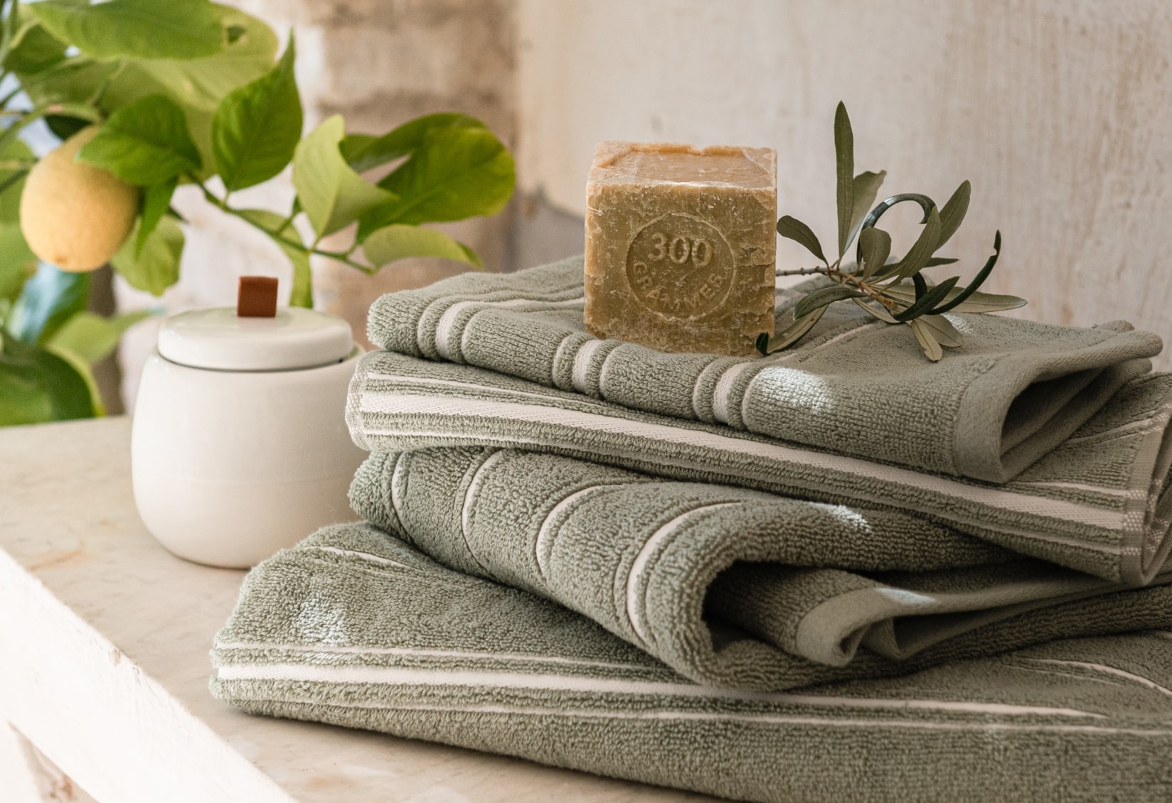 serviettes alinea