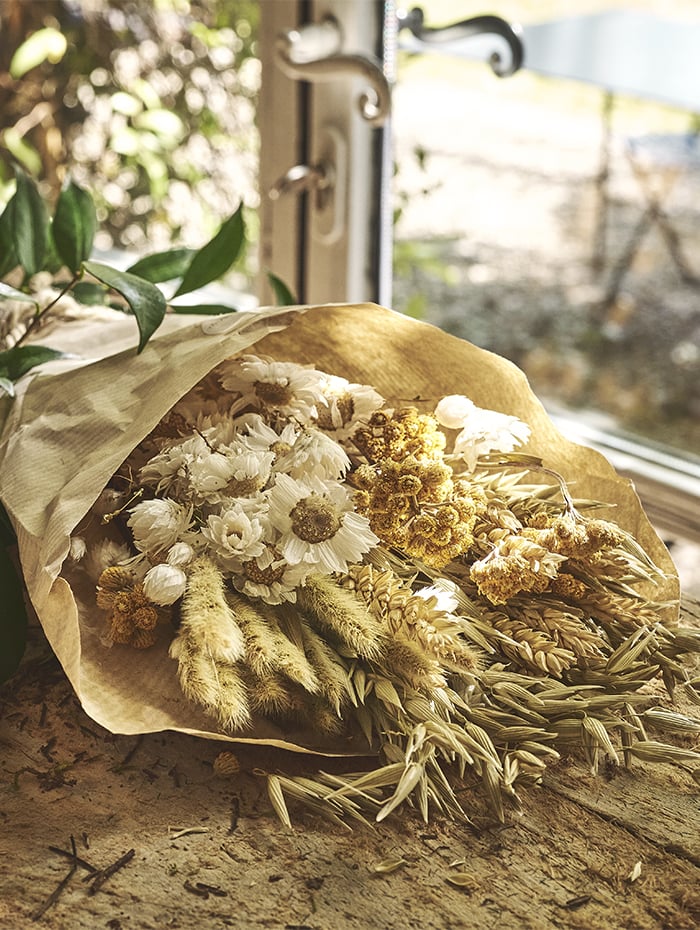 fleurs séchées | alinea