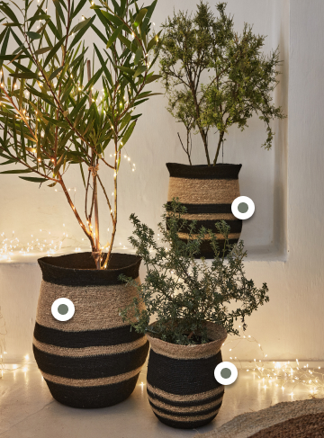 alinea jardin