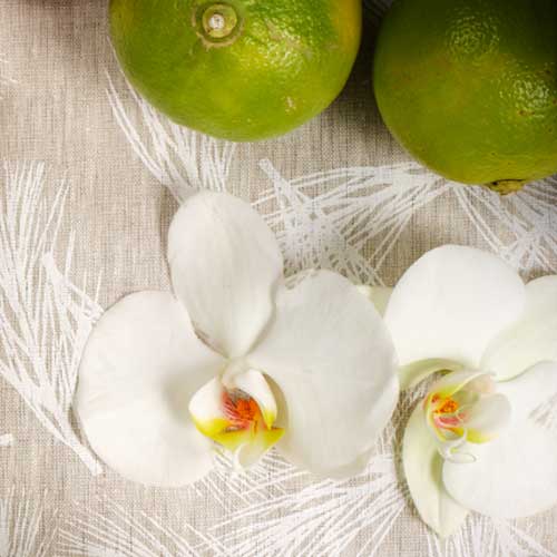 JARDIN D’EDEN. Gamme de senteurs Plantes & parfums, fabriquée dans le sud de la France alinea