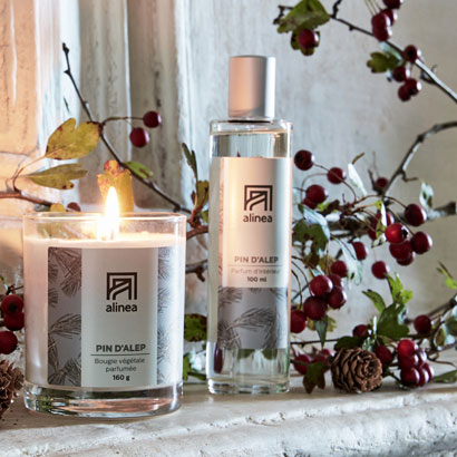 choisir un parfum d'intérieur