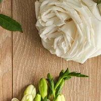 Senteurs alinea - les floraux