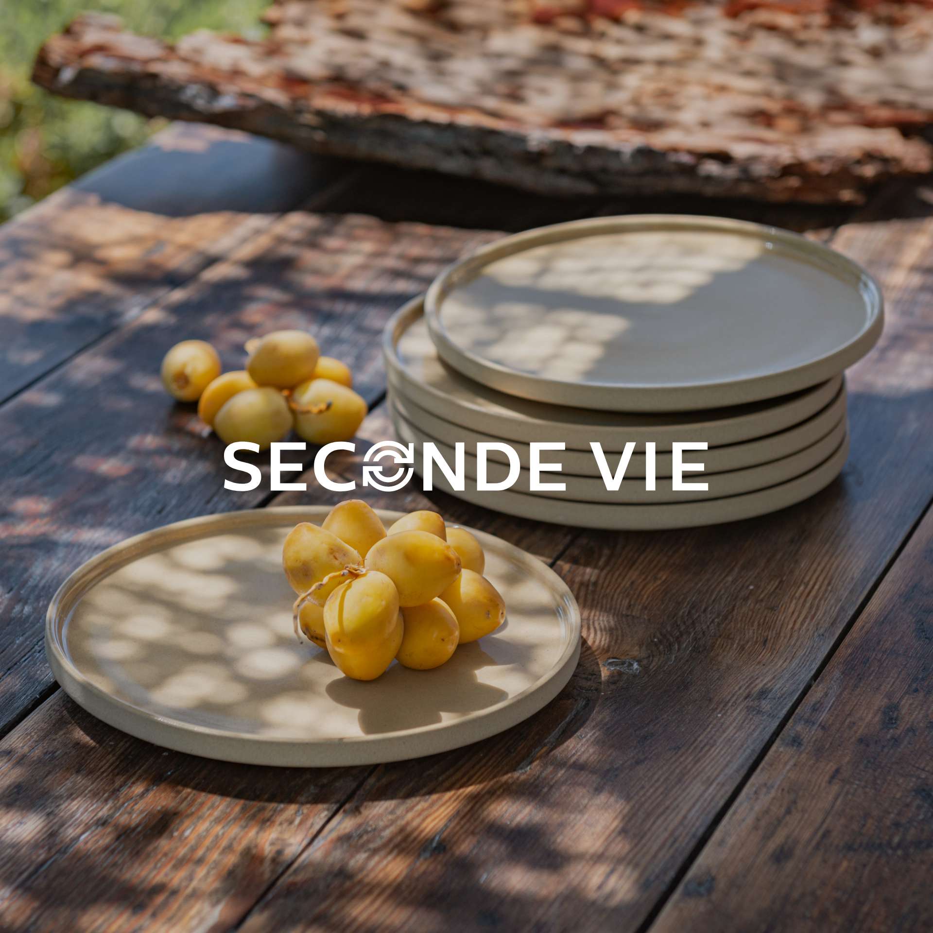 reprise vaisselle alinea