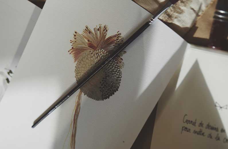 alinea x Maison Baluchon