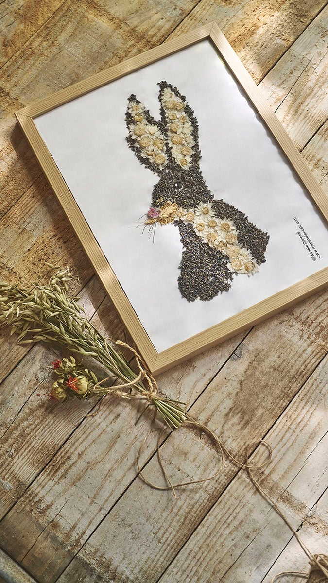 Atelier herbier animaux
