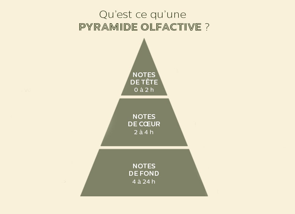 pyramide olfactive pour parfum