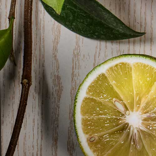 NEROLI. Gamme de senteurs de la marque Esteban. alinea