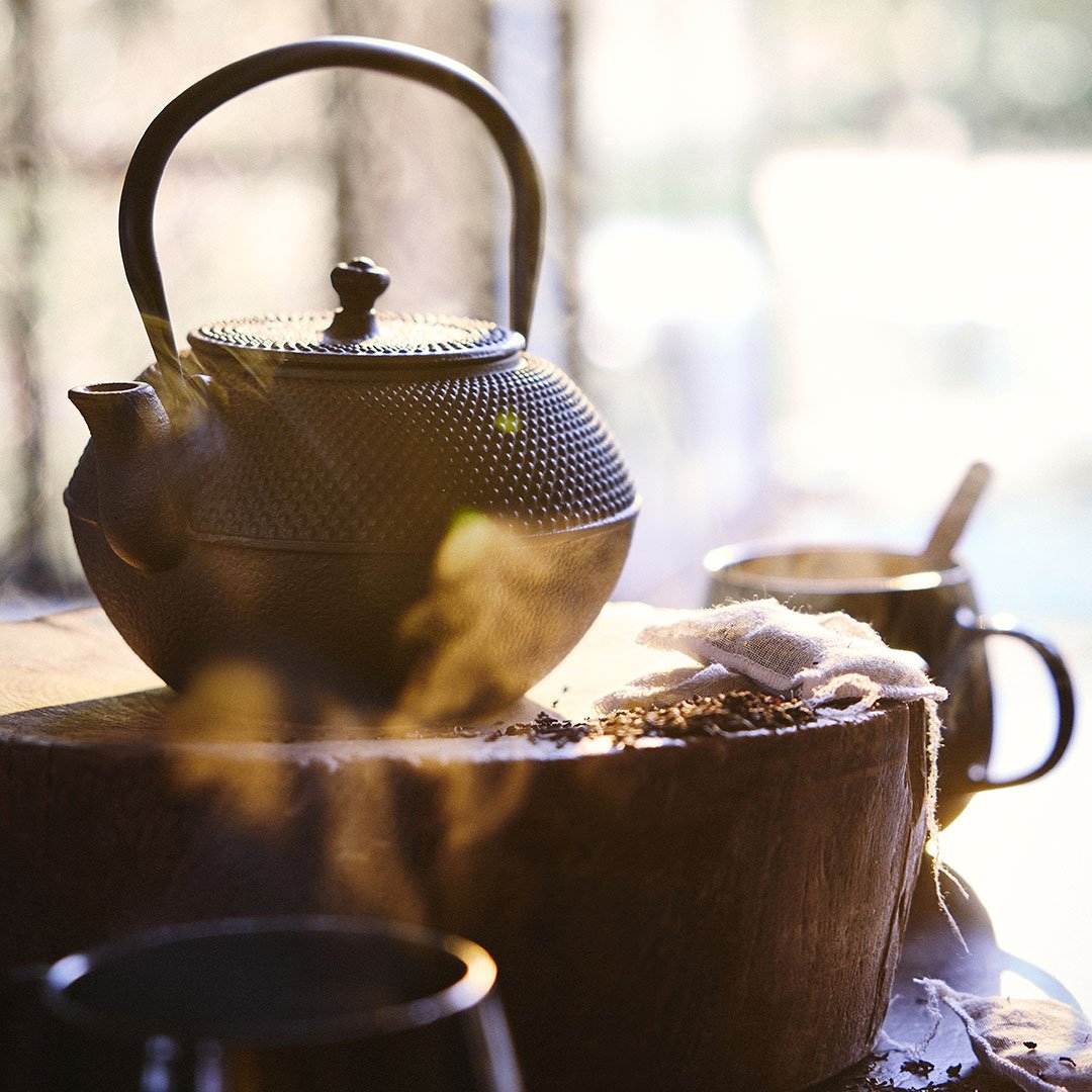 découvrez les collections alinea