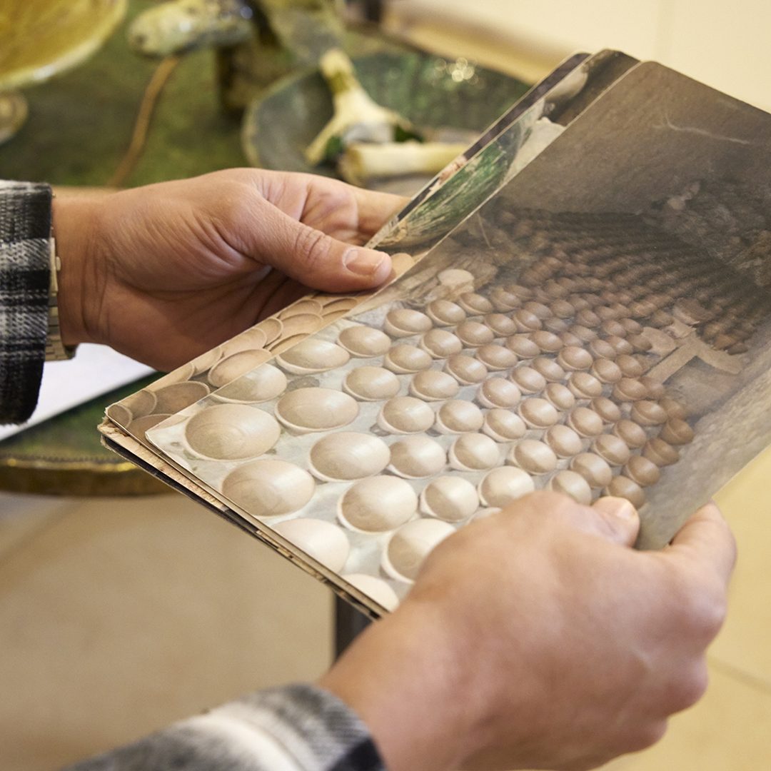 découvrez les collections alinea