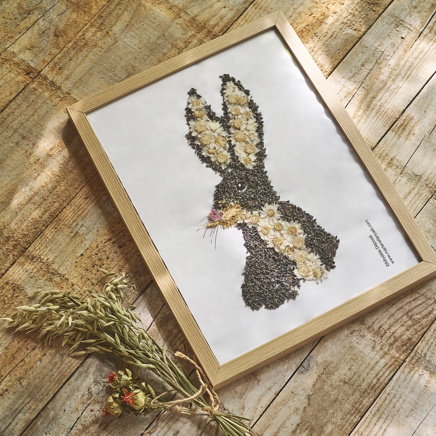 Herbier animaux-ATELIER Herbier animaux-ATELIER