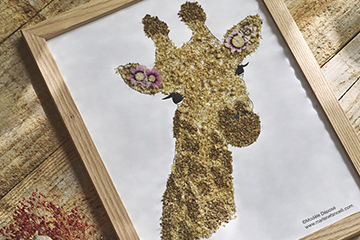 Herbier animaux-ATELIER