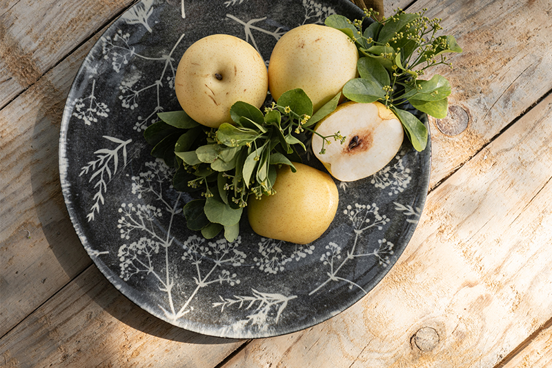 découvrez les collections alinea