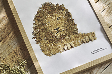 Herbier animaux-ATELIER