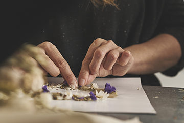 https://www.alinea.com/on/demandware.static/-/Sites-ali_master/default/dwc973ab6c/images/27807606/Atelier-creatif-herbier-fleurs-sechees-A-3.jpg
