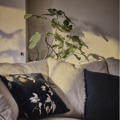 collection automne 2025 alinea